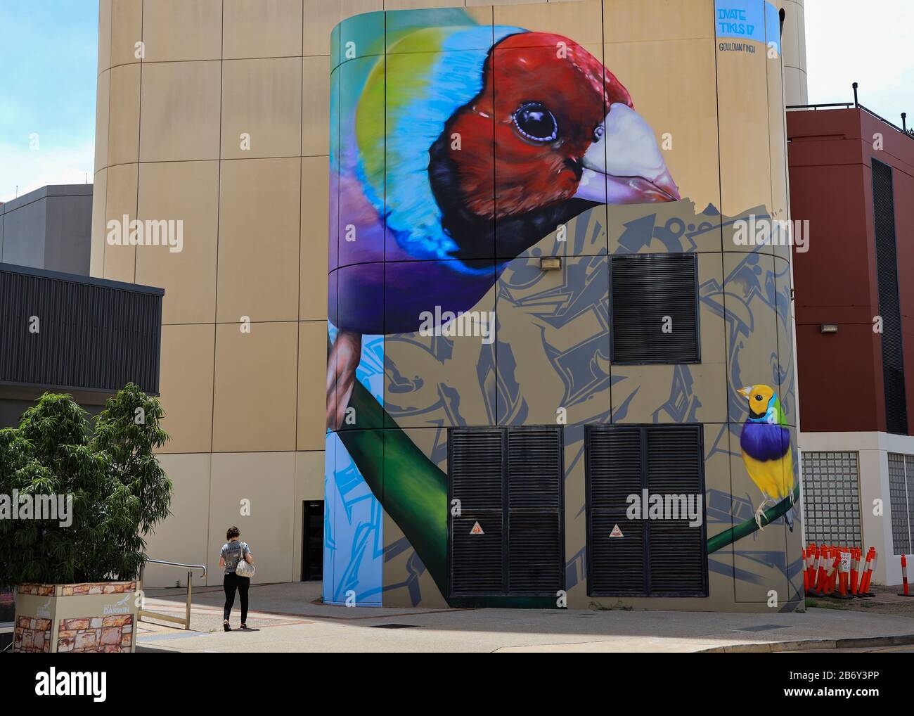 Graffiti dans Darwin, Territoire du Nord, Australie Banque D'Images