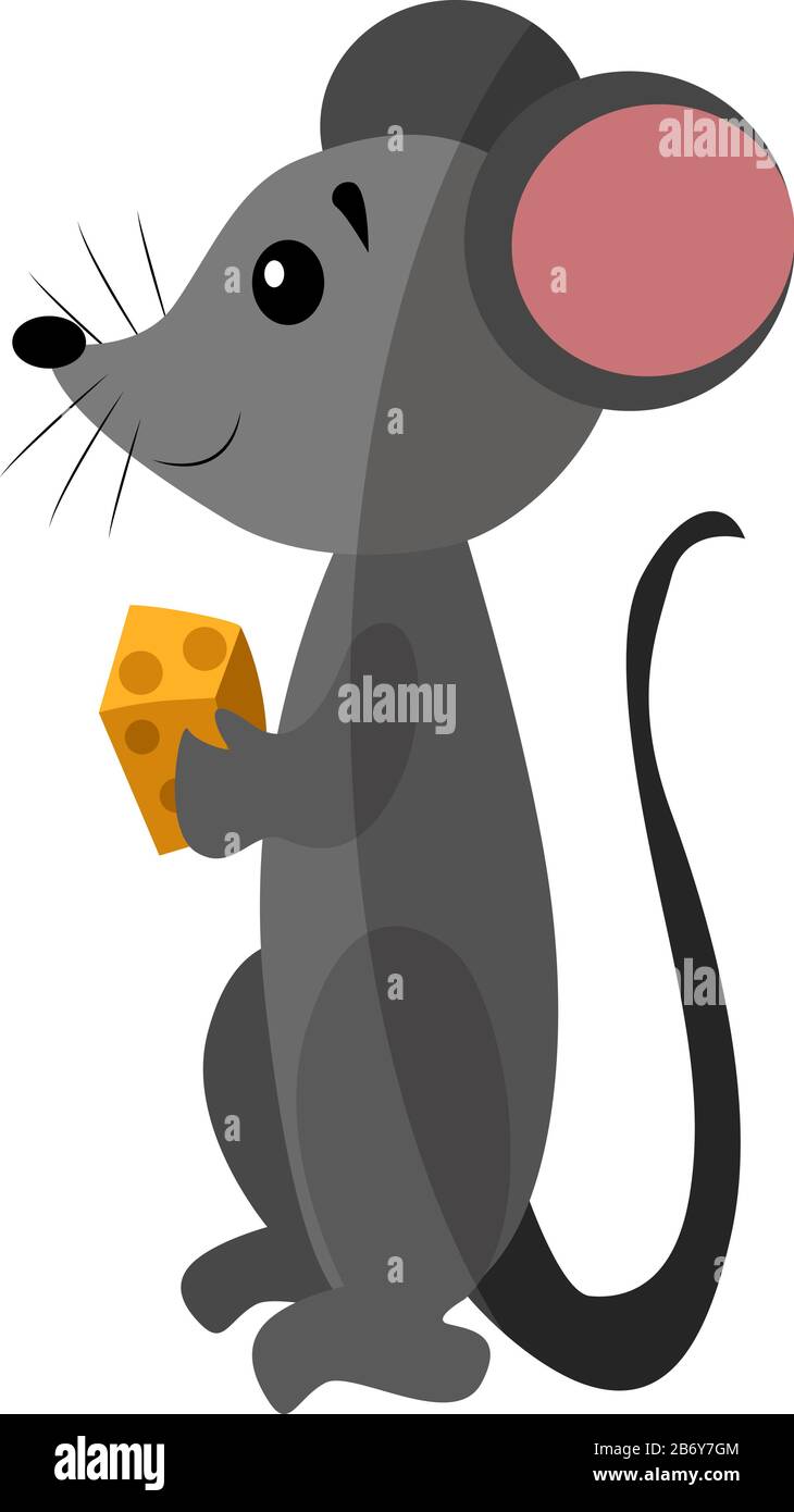 Souris bébé avec fromage, illustration, vecteur sur fond blanc. Illustration de Vecteur