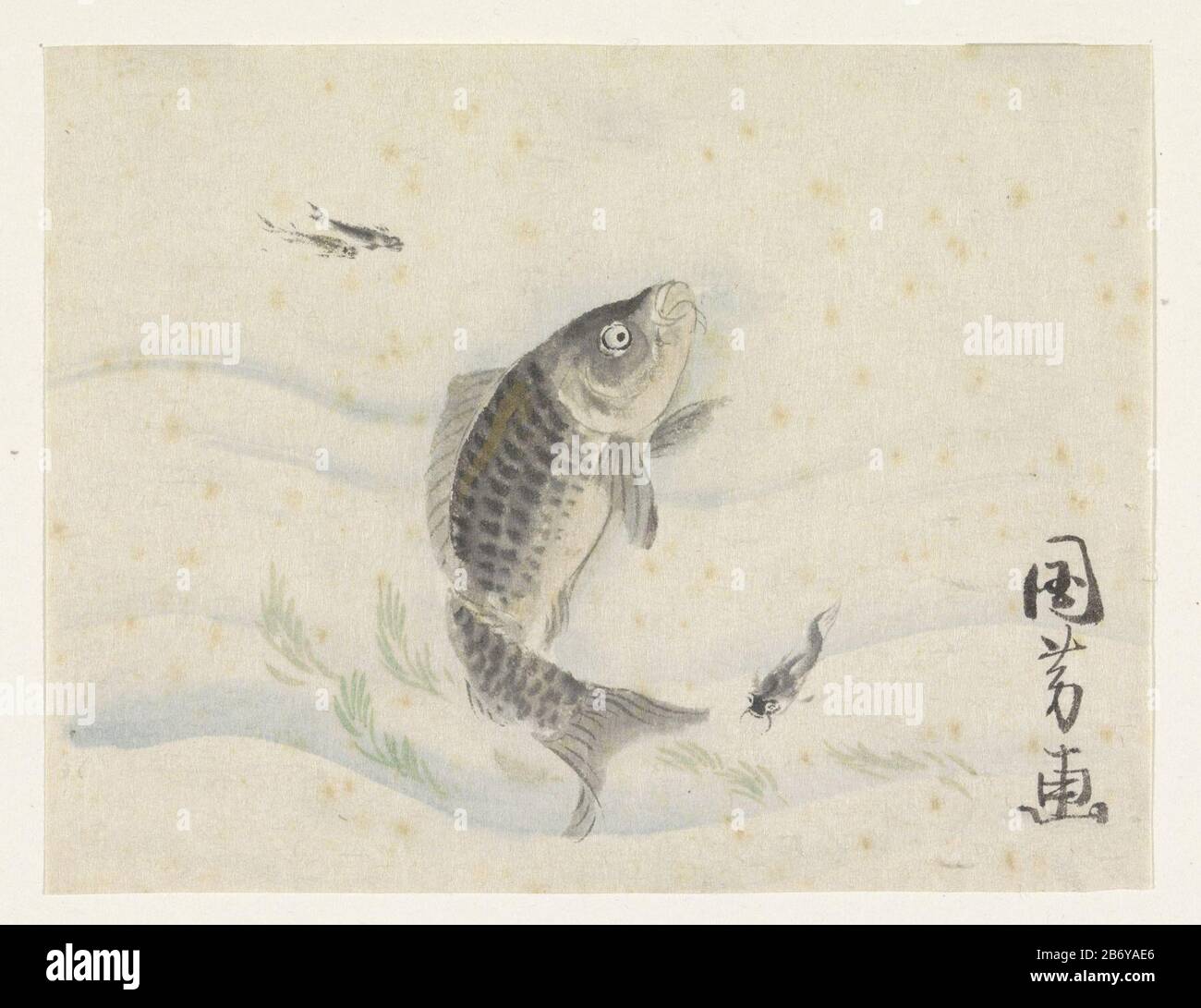 Karper (met signatuur) Carp (avec signature), Type d'objet: Dessin aquarelle Numéro d'objet: RP-T-1948-187 Fabricant : Rapporteur pour avis: Utagawa Kuniyoshi (attribué à) Date: 1808 - 1861 Caractéristiques physiques: Aquarelle, pinceau en couleur: Papier aquarelle technique: Dimensions du pinceau: 162 mm × W 212 mm Banque D'Images