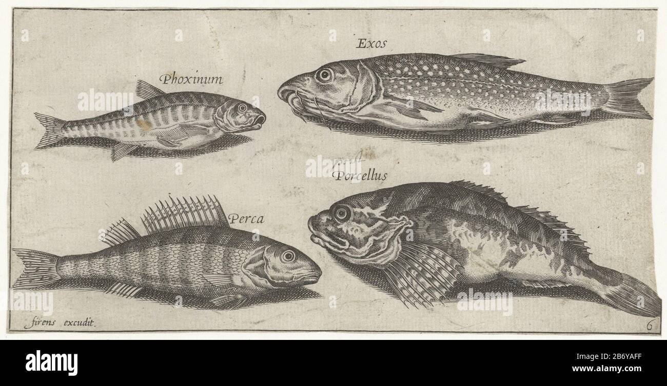 Karper, elrits, meerval en een baars Vissen (servietitel) Piscivm vivae icones (servietitel) carpe, minnow, pêche aux poissons et aux perches (titre de la série) Piscivm vivae icones (titre de la série) Type de bien: Imprimer Numéro de série: 6 / Numéro de l'article: RP-P-1979-187 Inscriptions: 22 Verpts, fabricant: Pierre Fire String photo de: Adriaen Collaertuitgever: Pierre Firens (propriété cotée) Lieu de fabrication: Printmaker: Paris à imprimer par: Anvers Éditeur: Paris Date: 1600 - 1638 Caractéristiques physiques: Matériel automobile: Technique papier: Engrara (impression) Banque D'Images