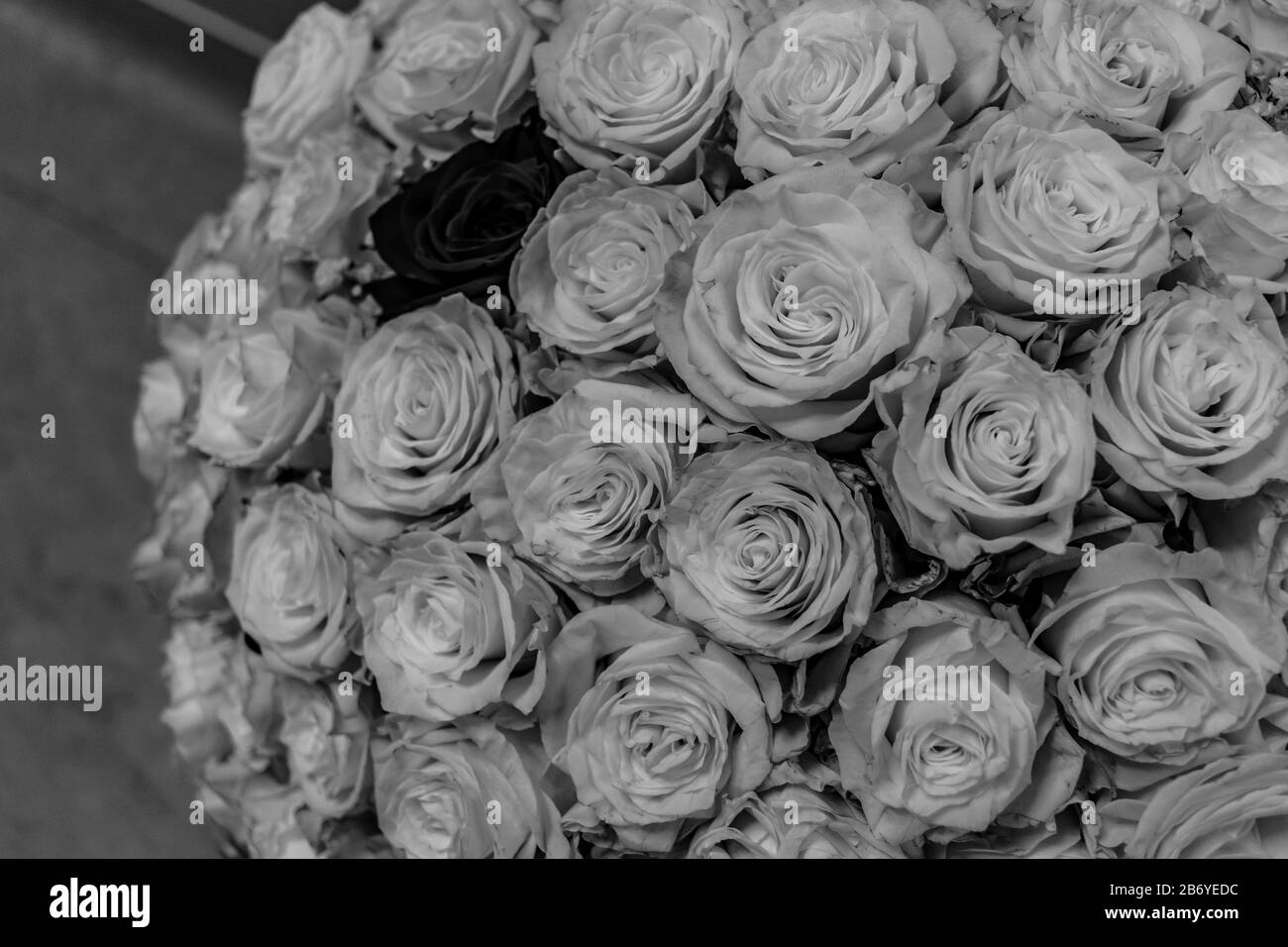 Bouquet de rose rouge Banque d'images noir et blanc - Alamy