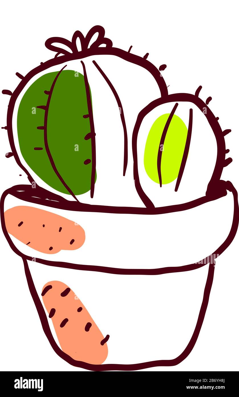 Dessin Cactus, illustration, vecteur sur fond blanc. Illustration de Vecteur