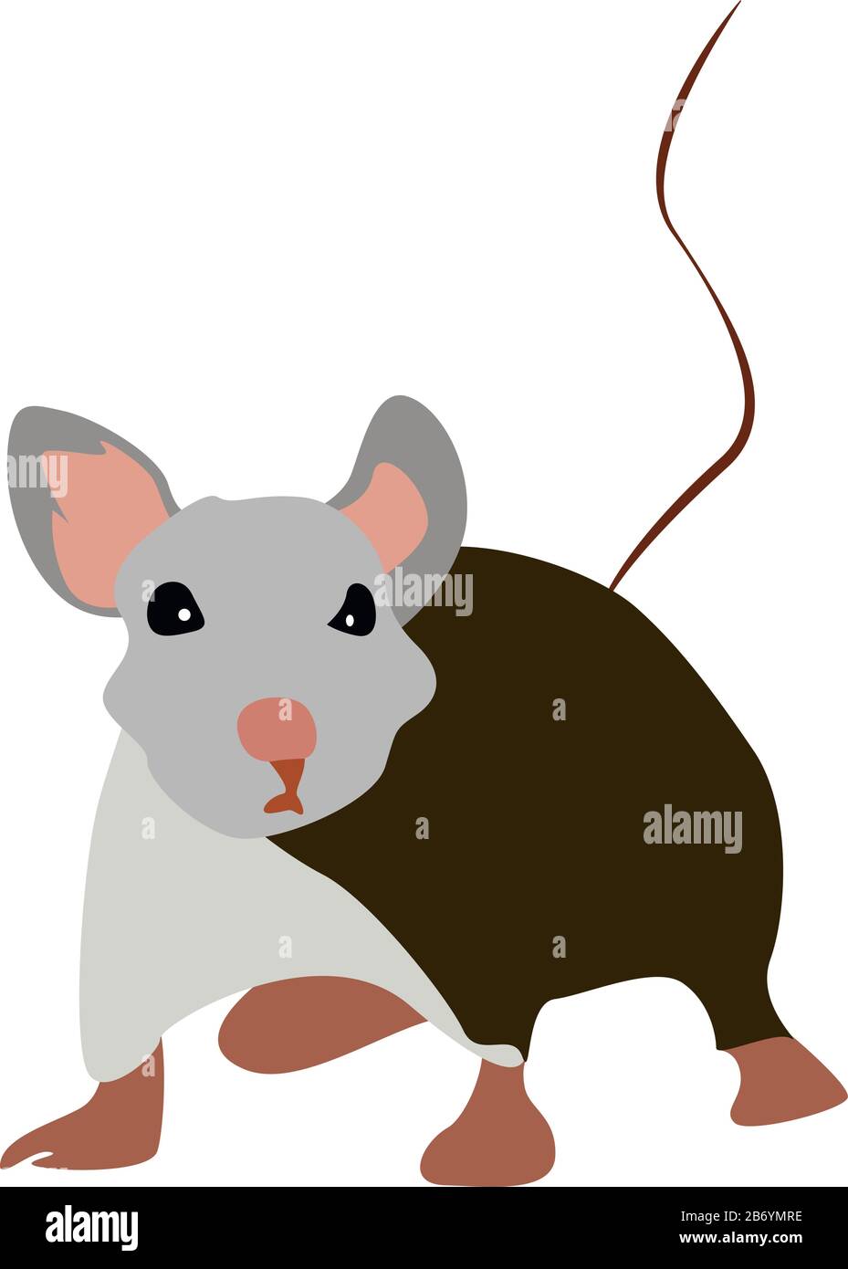 Rat long, illustration, vecteur sur fond blanc. Illustration de Vecteur