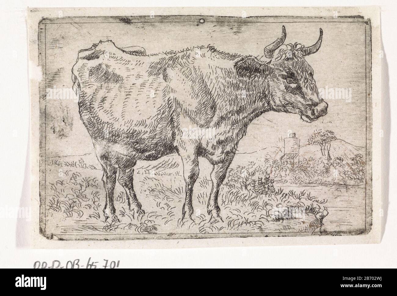 Koe aan de oever van een rivier Cow on the bank of a River type d'objet: Photo Numéro d'article: RP-P-OB-65.701 Inscriptions / marques: Marque du collectionneur, verso en bas à gauche, estampillée: Lugt 240 Fabricant : à imprimer par: Paulus Potter (possible) graveur: Marcus de Bye (possible) Lieu de fabrication: Pays-Bas Date: 1657 - 1688 Caractéristiques physiques: Matériau de gravure: Papier technique: Dimensions de gravure: Bord de la plaque: H 64 mm × W 95 mm Objet: Banque de la vache Banque D'Images