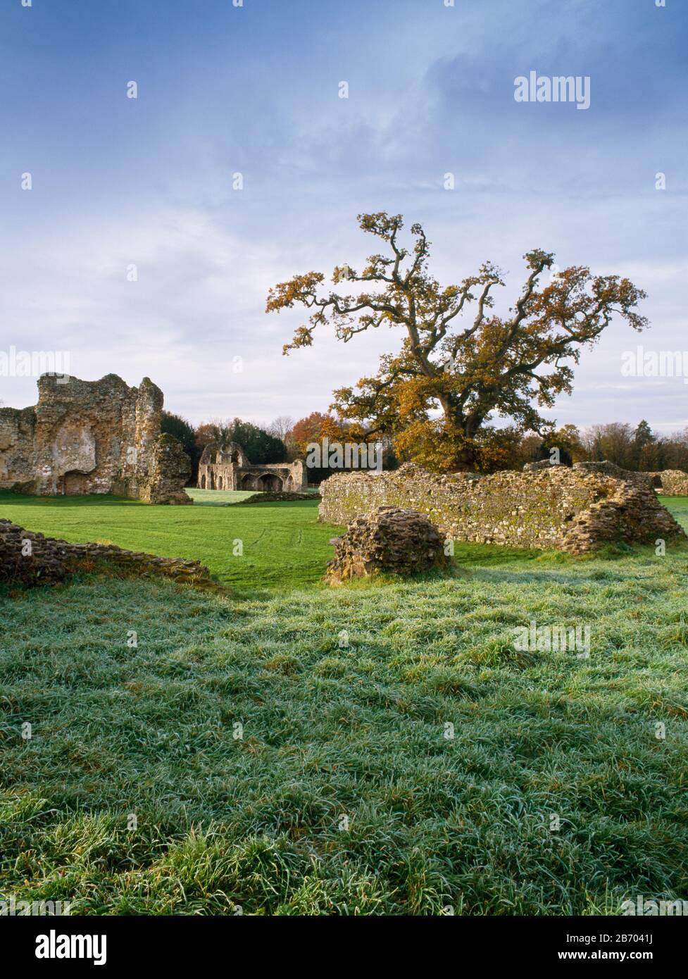 Abbaye De Waverley, Farnham, Angleterre. En regardant à travers l'église médiévale ruinée à la gamme de cellarer en arrière-plan Banque D'Images