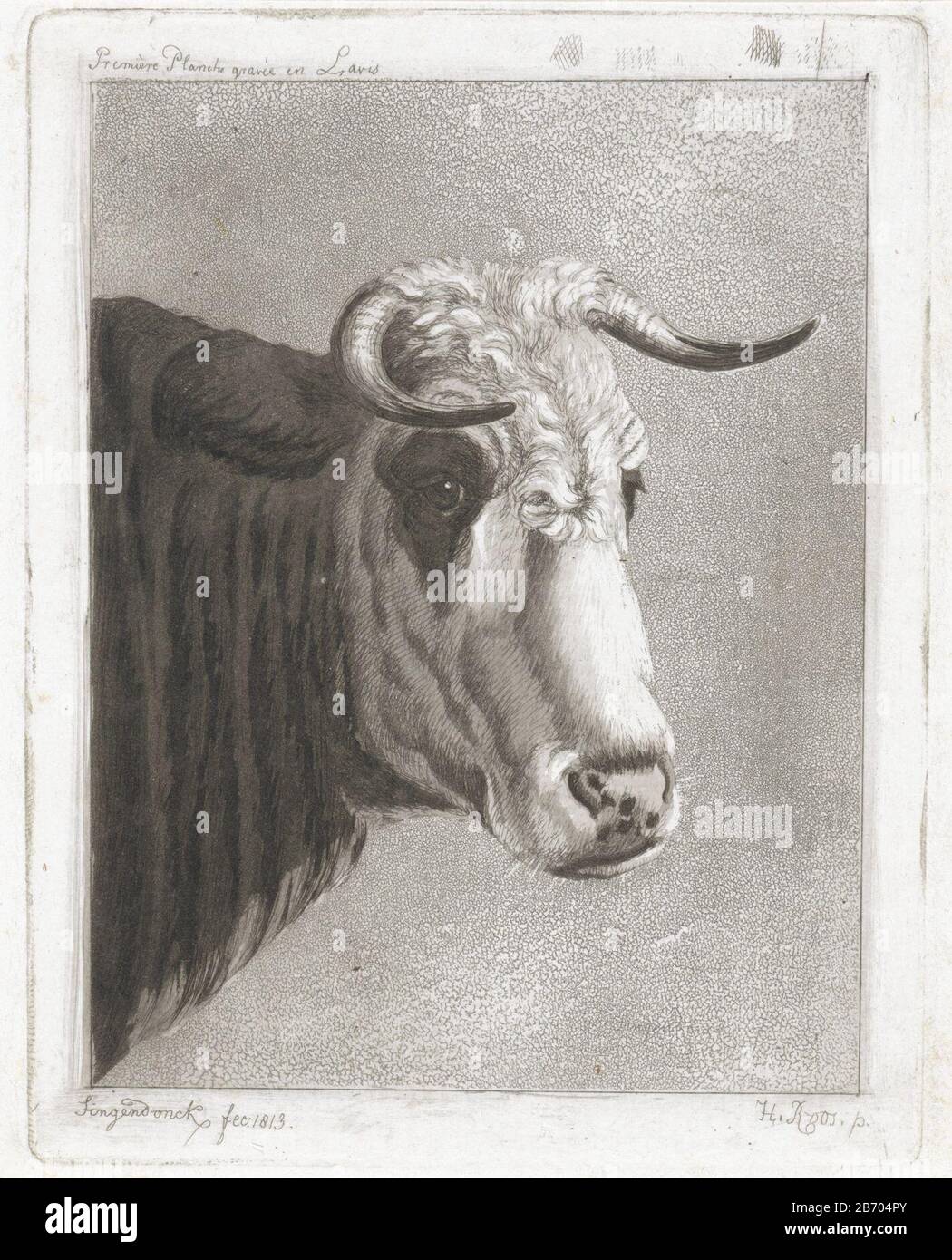 Koekop Koekop. Avec entrée dans la marge supérieure: Première planète tombe et Lavis. Fabricant : printmaker: Diederik Jan Singendonck (propriété cotée) à la peinture de Johann Heinrich Roos (propriété cotée) Lieu de fabrication: Utrecht Dating: 1813 Caractéristiques physiques: Gravure, aquarint et lavismanier matériau: Papier technique de gravure / aqua teinte / ombre d'aqua dimensions: Bordure: H × 114 mm b 88 mm Objet: Vache Banque D'Images