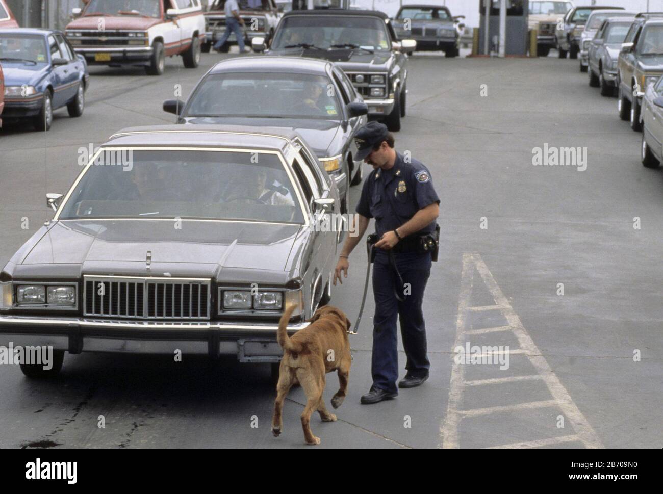 Brownsville Texas USA: L'agent des douanes des États-Unis recherche des drogues, des immigrants illégaux et de la contrebande avec l'aide d'un chien qui se renifle de drogues. M. ©Bob Daemmrich Banque D'Images