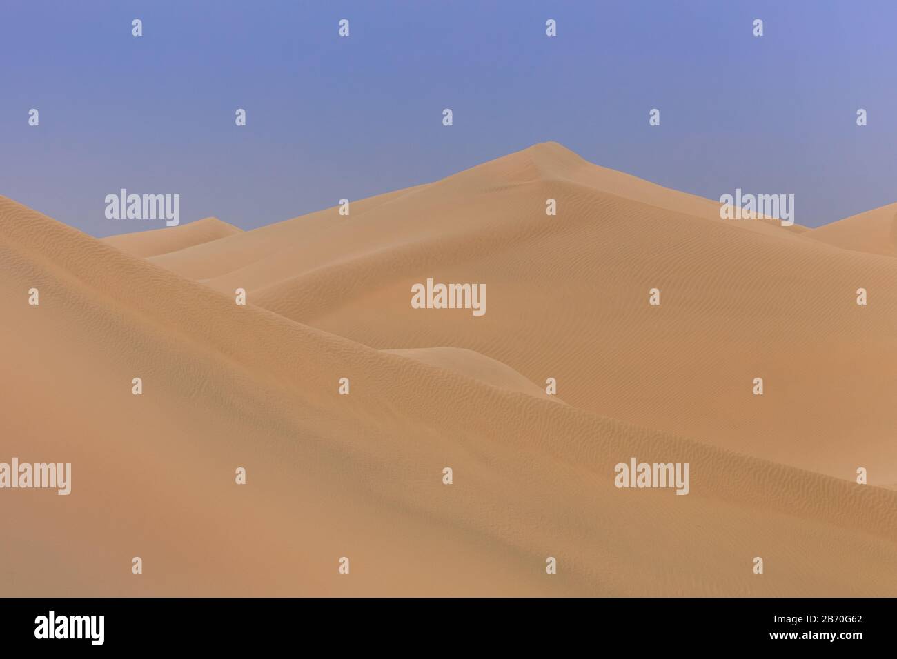 Dunes de sable dans le désert d'Abu Dhabi. Emirats Arabes Unis Banque D'Images