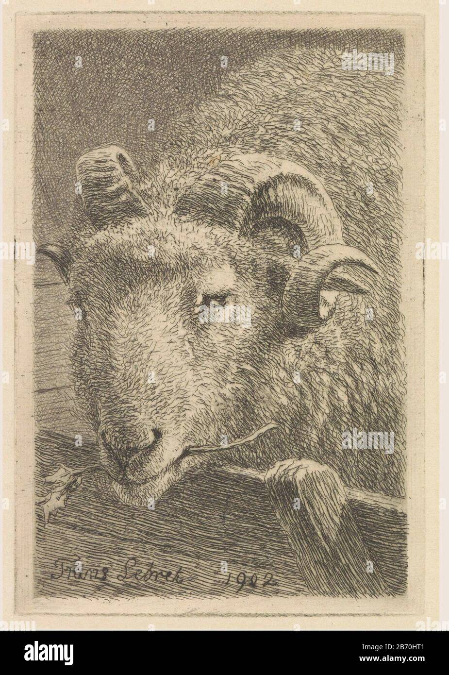 Kop van een ram tête d'un vérin, vue oblique depuis l'avant, avec une rameau dans son amande. Fabricant : Print Maker: French Lebret (indiqué sur l'objet) Date: 1902 Caractéristiques physiques: Matière de gravure: Technique du papier: Dimensions de gravure: Bord de la plaque: H 118 mm × b 80 mm Sujet: RAM Banque D'Images