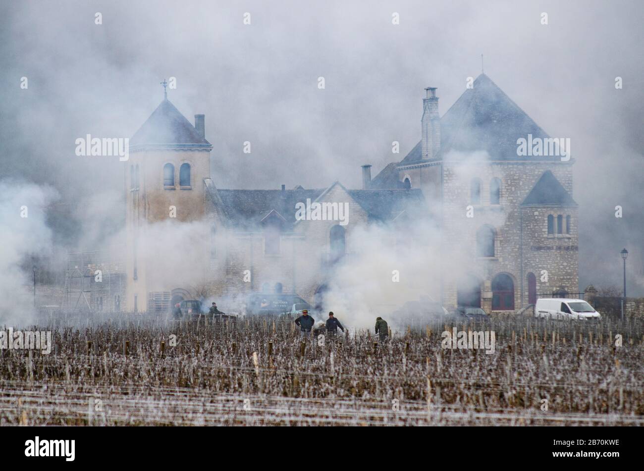 Brûlant des boutures de vigne dans le Nuit St Georges, Côtes d Or, Bourgogne, France avec fumée et feux. Banque D'Images