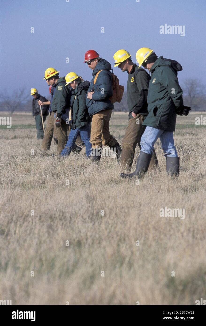 Texas de l'est, février 2003 : les chercheurs utilisent la méthode de la grille sur le terrain pour chercher les débris de l'épave de la navette spatiale Columbia près de Corsicana dans le comté de Navarro. ©Bob Daemmrich Banque D'Images