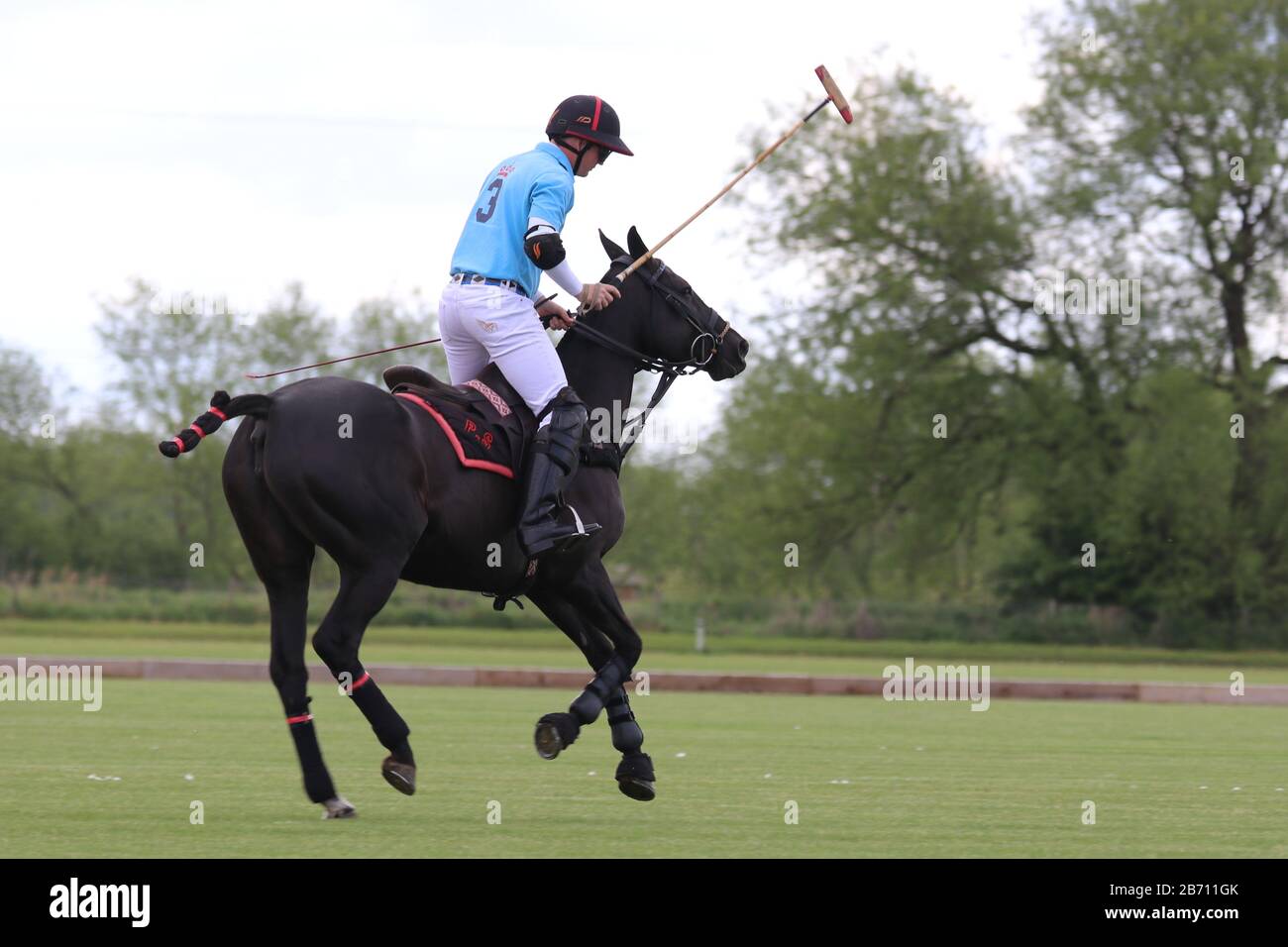 Le solo se réchauffe avant un match de polo Banque D'Images