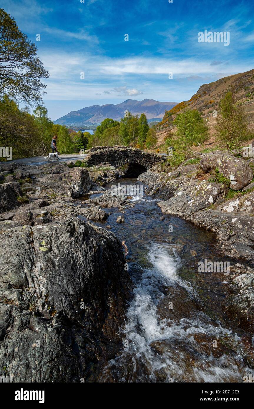 Walker avec chien traversant Ashness Bridge, Cumbria, Lake District, royaume-uni Banque D'Images