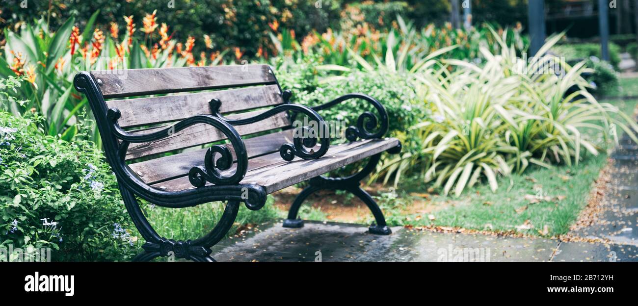 Un banc en bois au milieu de magnifiques jardins fleuris d'ornement d'un parc public naturel en été ou en saison de printemps. Rafraîchissement et R Banque D'Images