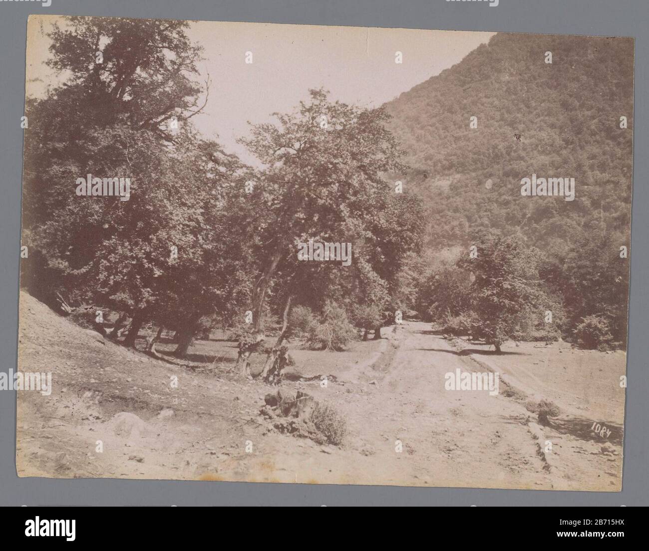 Landschap (la route de Mazamilozan), paysage Montagneux iranien avec route, arbres et arbustes, Iran. Fabricant : Photographe: Antoine Sevruguin (attribué à) Lieu de fabrication: Iran Date: CA. 1885 - ca. 1910 Caractéristiques physiques: Albumen matière d'impression: Papier technique: Albumen dimensions d'impression: Photo: H 154 206 mmb mmOnderwerp Banque D'Images