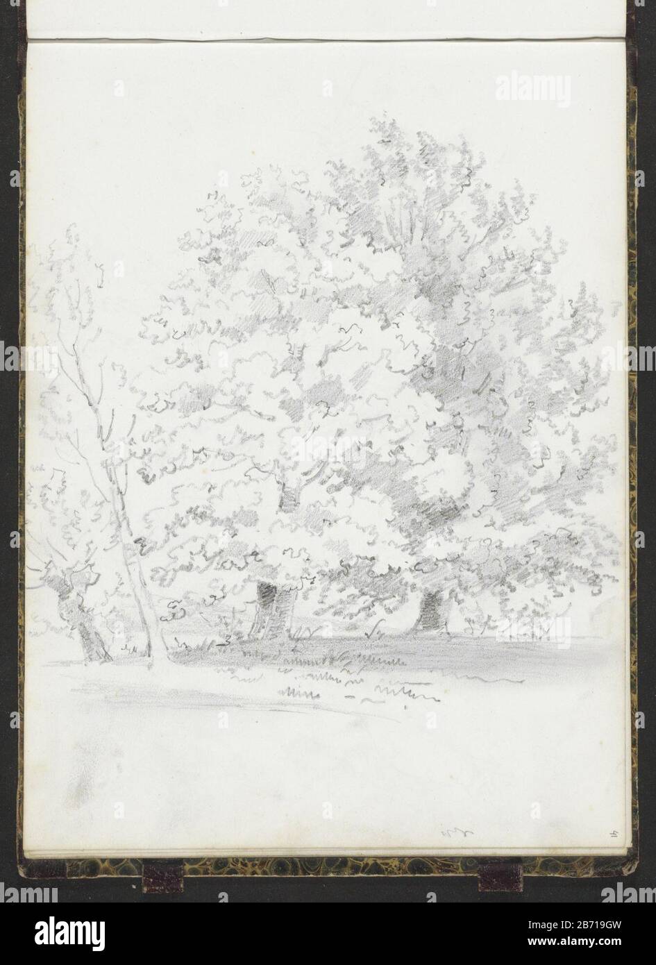 Landschap met bomen Paysage avec arbres Type d'objet: Croquis feuille Numéro d'article: RP-T-1996-2-41 (R) Description: Feuille 41 recto d'un croquis avec 51 bladen. Fabricant : artiste: Lambertus Lingeman (attribué à) Date: 1839 - 1894 Caractéristiques physiques: Crayon matière: Crayon papier Sujet: Arbre Banque D'Images