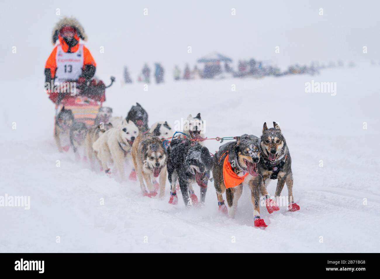 Musher Meredith Mapes en compétition dans la 48ème course de chien de traîneau de sentier Iditarod dans le centre-sud de l'Alaska. Banque D'Images