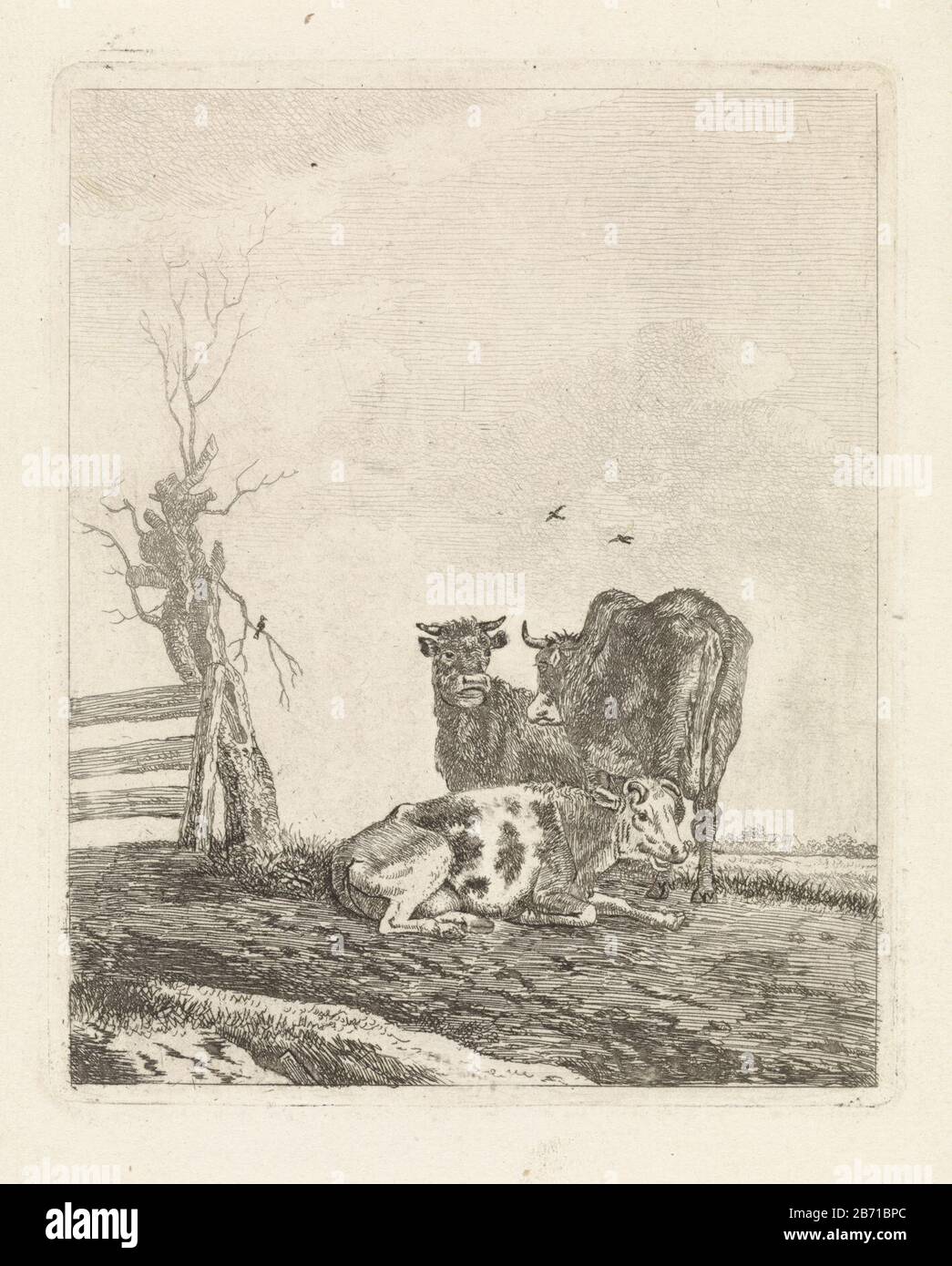 Landschap a rencontré drie koeien Paysage avec la vache posée vers le bas, à droite, et deux vaches. A gauche un saule à une clôture. Sans la marge au-dessous de la voorstelling. Fabricant : Print Maker: Pieter Janson Date: 1780 - 1851 Caractéristiques physiques: Matière de gravure: Technique du papier: Dimensions de gravure: Bord de la plaque: H 138 mm × W 113 mm Objet: Vache Banque D'Images