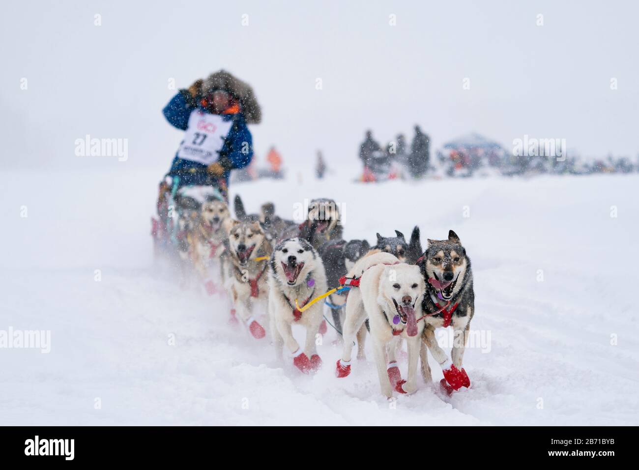 Museuse Mitch Seavey en compétition dans la 48ème course de chien de traîneau à sentier Iditarod dans le centre-sud de l'Alaska. Banque D'Images