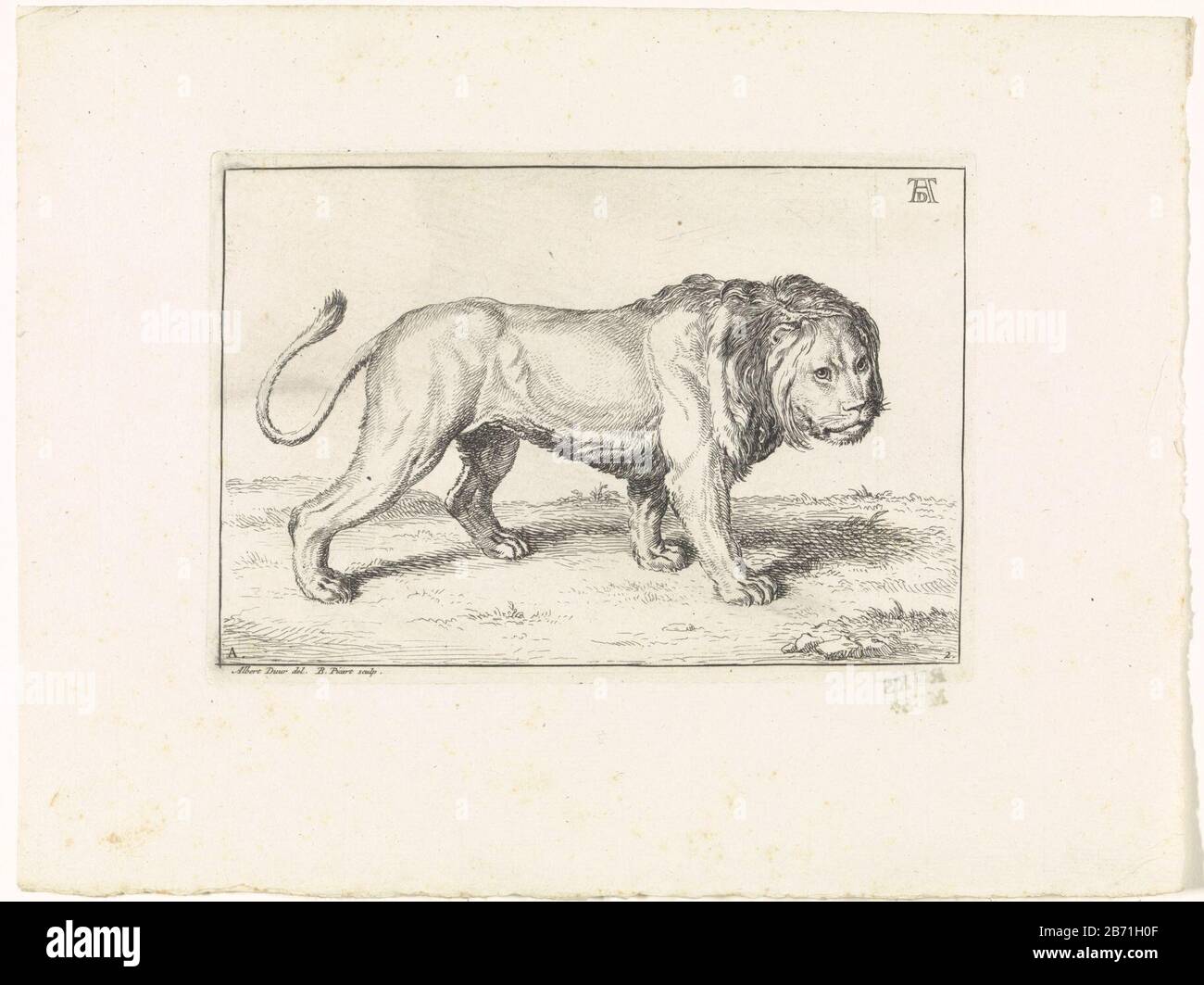 Paysage avec un lion qui tourne à droite. En haut à droite le monogramme d'Albrecht Dürer. Signature en bas à gauche: A. Numérotée en bas à droite: 2. Fabricant : print maker: Bernard Picart (indiqué sur l'objet) à dessiner de: Albrecht Dürer (indiqué sur l'objet) éditeur: Bernard PicartPlaats fabrication: Amsterdam Date: 1729 Caractéristiques physiques: Matière de gravure: Papier technique: Dimensions de gravure: Bord de la plaque: H 122 mm × W 175 mmToeliechtPrent également utilisé comme illustration dans: Rapporte les lions, dessinez d'apres nature par divers maitres. Amsterdam: Bernard Pimart, 1729. Objet: Bêtes o Banque D'Images