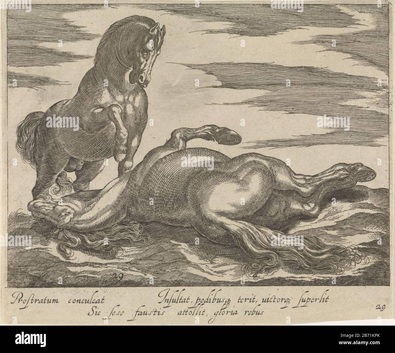 Landschap a rencontré le garde de twee Paardenrassen (servietitel) Paysage avec le premier plan un cheval épuisé, allongé sur son dos, tourné à gauche. L'autre cheval est en train de regarder. En marge d'une signature à deux lignes en latin. Imprimez à partir d'une série de trente avec paardenrassen. Fabricant : Print Maker: Egbert de Pander to design: Antonio Tempesta Editeur: Frederick The WitPlaats fabrication: Amsterdam Dating: CA. 1590 - 1637 Caractéristiques physiques: Engrasa et matière de gravure: Technique du papier: Engrasa (impression) / dimensions de gravure: Feuille: H 138 mm × W 167 mm Objet: Cheval Banque D'Images
