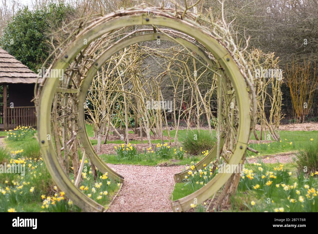 Structure de la plante de jardin et port Droitwich Spa, Worcestershire Angleterre Royaume-Uni. 07/03/2020 structure de la plante de jardin et le port détente cadre et bac Banque D'Images