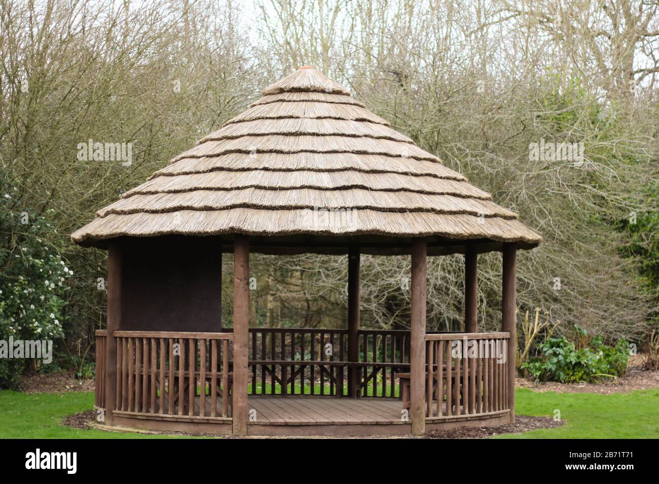 Jardin fleuri Droitwich Spa, Worcestershire Angleterre Royaume-Uni. 07/03/2020 structure de jardin éclos pour la détente et les réunions de famille, weddin Banque D'Images