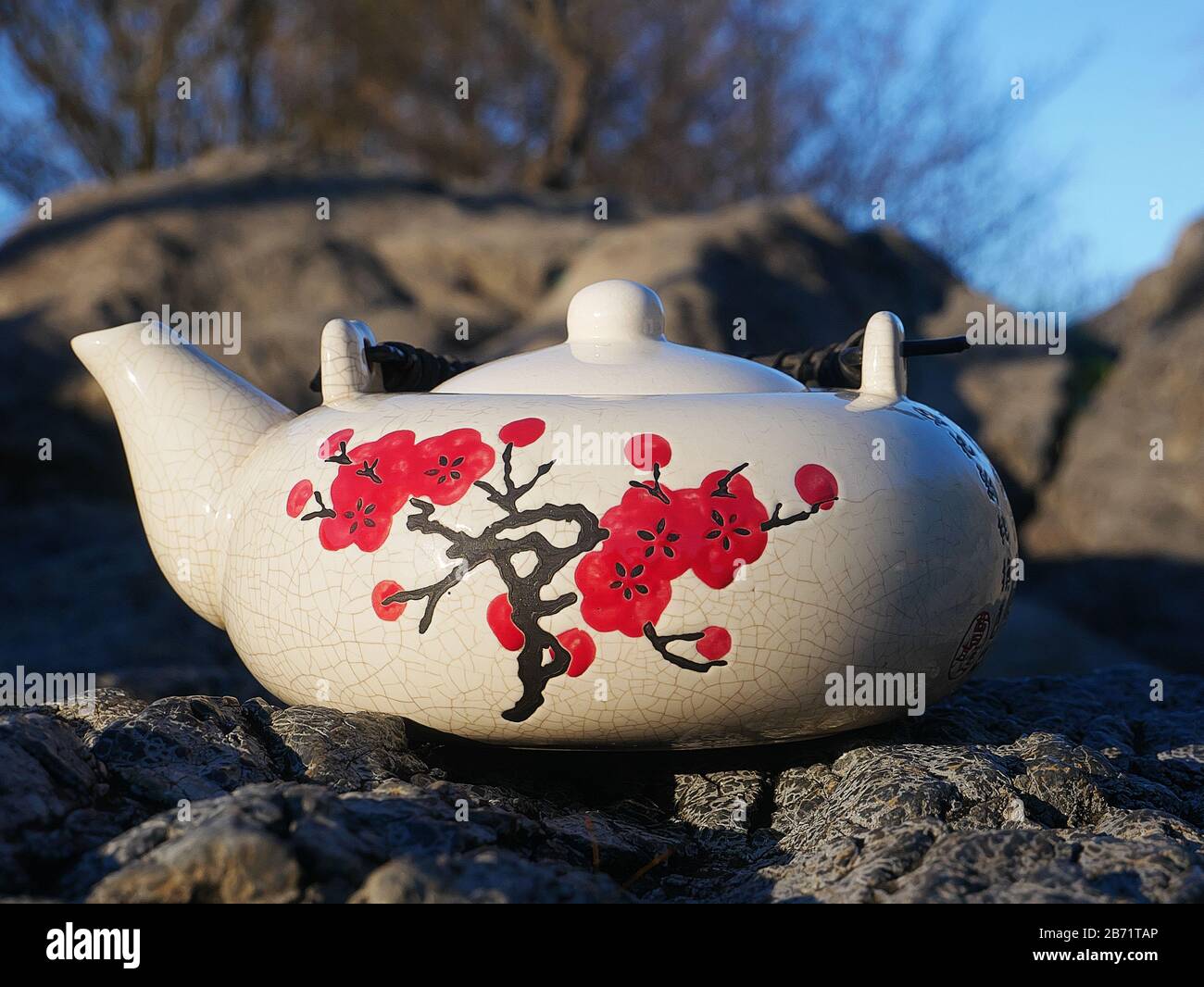 Théière chinoise en porcelaine décorée Banque D'Images