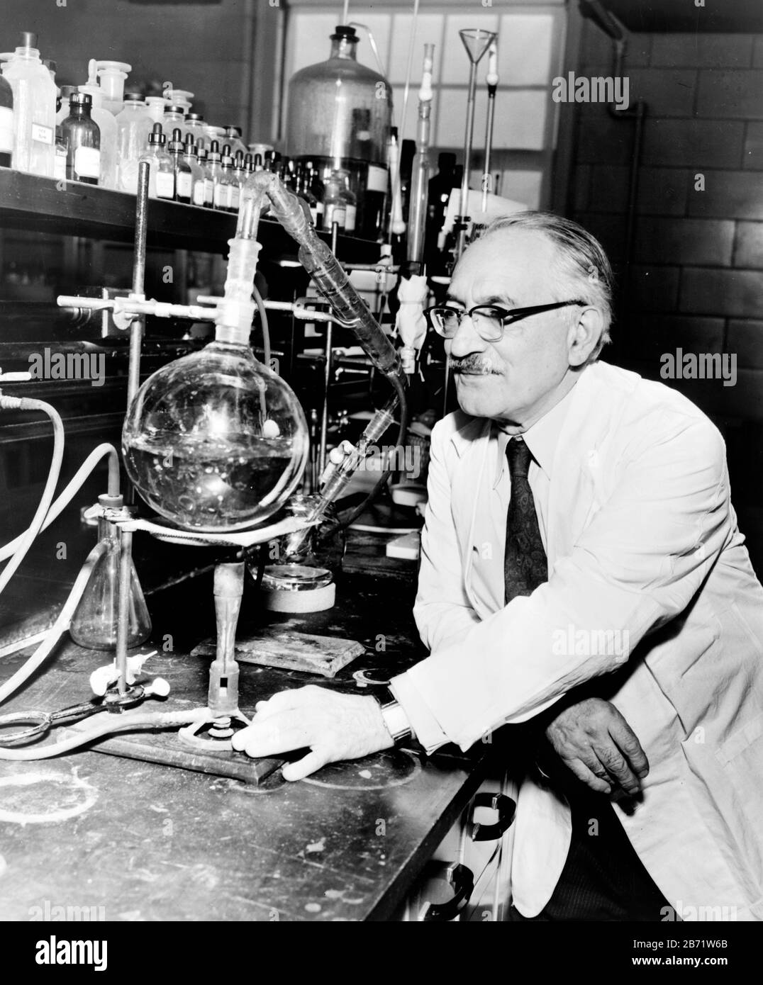 Dr Selman Waksman, Selman Abraham Waksman (1888 – 1973) inventeur ukrainien, juif-américain, biochimiste et microbiologiste Banque D'Images