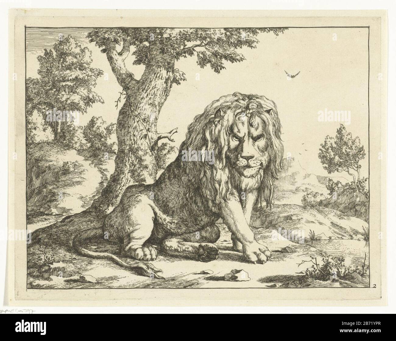 Leeuw zittend bij boom Leeuwen (servietitel) Lion assis dans des otaries (titre de la série) Type de bien: Imprimer Numéro de série: 2 / 8Objectnummer: RP-P-BI 5397Catalogusreferentie: Hollstein Dutch 50Opmerking: État 2 ou 3 trois états connus inscriptions / marques: Marque du collectionneur, verso, estampillé: 22 Marugenaar design: Paulus Potter Lieu de fabrication: Den Haag Date: 1664 Caractéristiques physiques: Matière de gravure: Papier technique: Dimensions de gravure: Bord de la plaque: H 174 mm × W 225 mm Sujet: Bêtes de proie, animal prédateur Banque D'Images