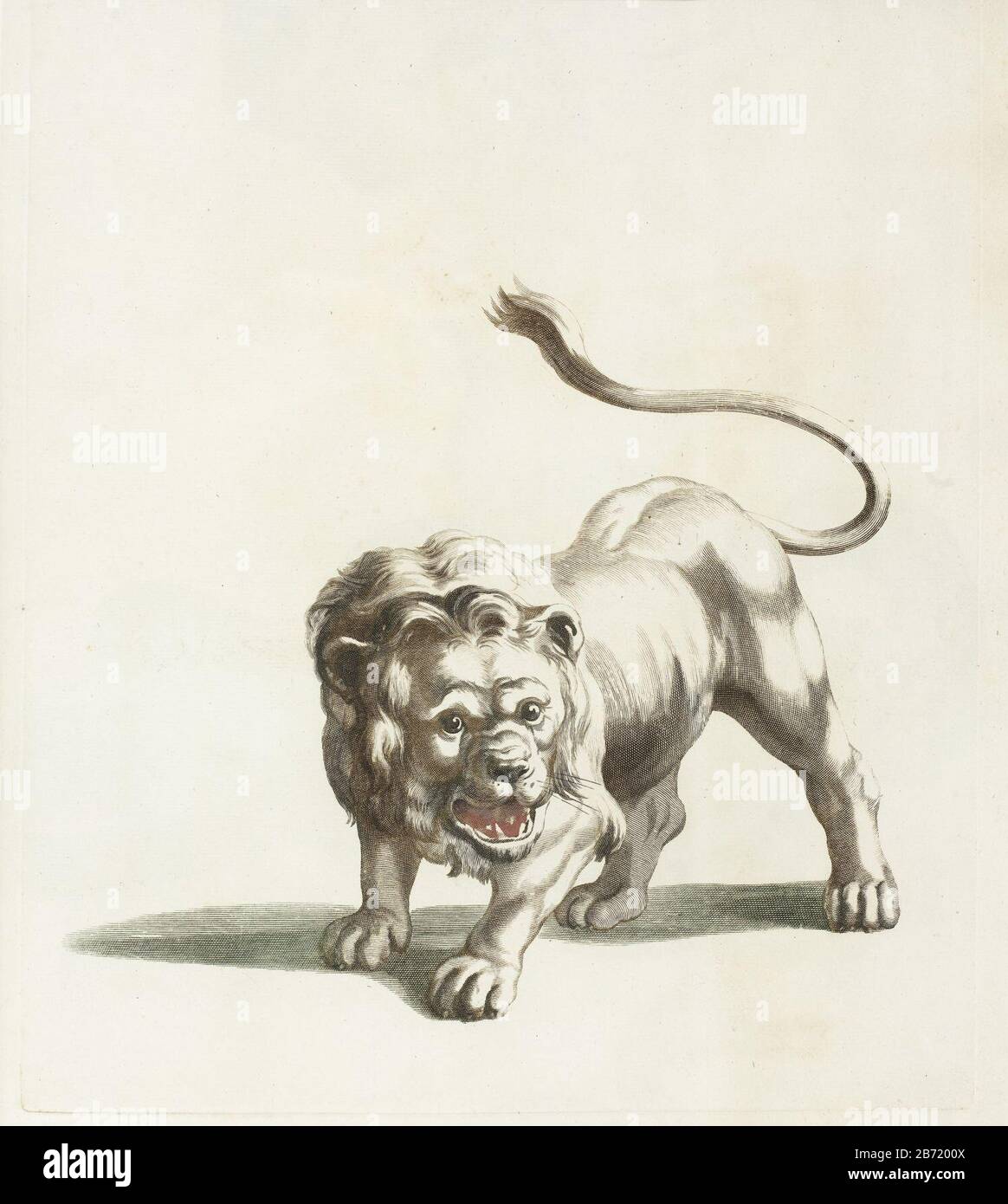 Leeuw Ce post fait partie d'un album. Fabricant : printmaker: Supervision anonyme Johan Teylerstraat Lieu fabrication: Pays-Bas Date: 1688 - 1698 Caractéristiques physiques: Voiture à la poupée en noir, vert, rouge et marron: Technique du papier: Engraa (impression) / à la poupée / couleur dimensions: Bord: H 384 mm (taillé dans le bord supérieur de la plaque) × b 273 mm Objet : bêtes de proies, animaux prédateurs : Lion Banque D'Images