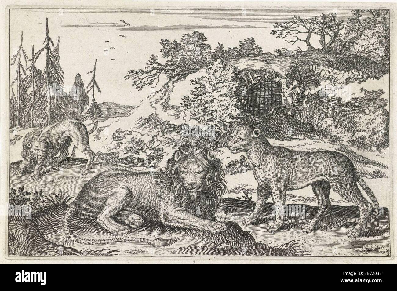 Leeuwen en luipaard Vierpotige dieren (servietitel) Animalivm Qvaddrvpedvm (servietitel) Deux lions et un léopard au premier plan. En arrière-plan une grotte. L'imprimé fait partie d'une série d'animaux comme Onderwerp. Fabricant : à un dessin par: Adriaen Collaertprentmaker: Éditeur anonyme: Nicolaes Visscher (i) (attribué à) Lieu de fabrication: A design by: Antwerpen Print auteur: Éditeur inconnu: Amsterdam Date: 1628 - 1679 Caractéristiques physiques : engrala technique papier: A (processus d'impression) / dimensions de gravure: EDGE: H 128 mm × W 197 mm Subjectbeasts o Banque D'Images