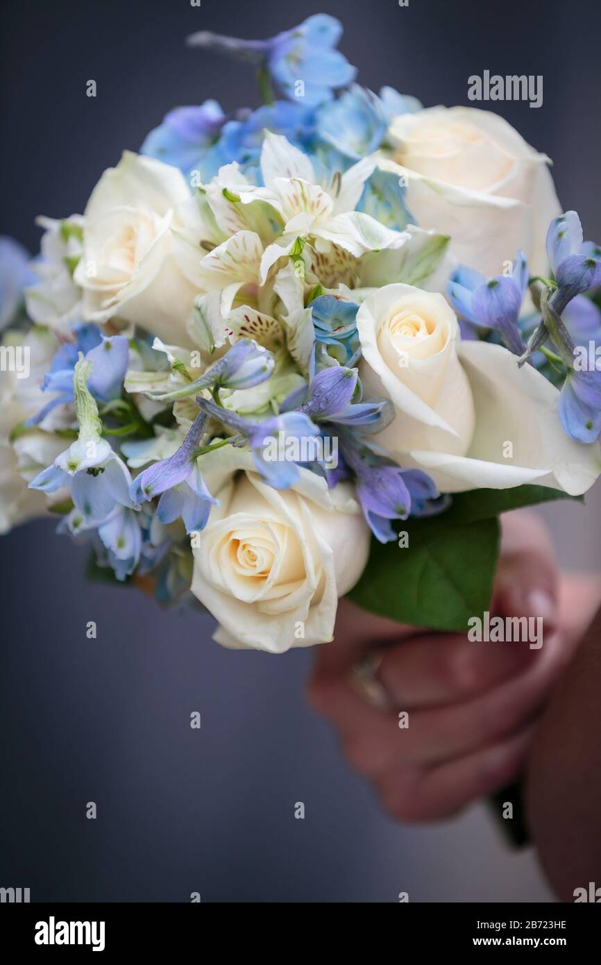 Mariée tenant un bouquet de roses blanches de mariage et de fleurs bleues  Photo Stock - Alamy