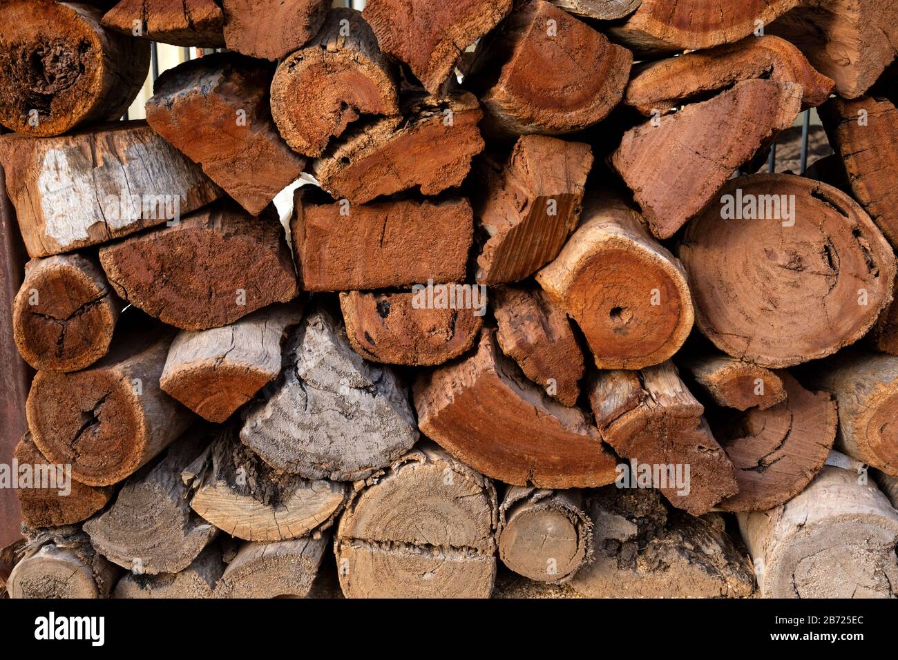 Eucalyptus firewood Banque de photographies et d’images à haute résolution Alamy