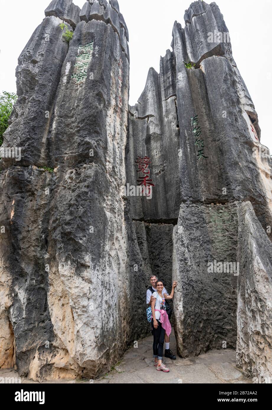 La forêt de pierres de Kunming, Yunnan est une merveille géologique calcaire couvrant plus de 80 hectares et a été désignée site du patrimoine mondial De L'Unesco. Banque D'Images