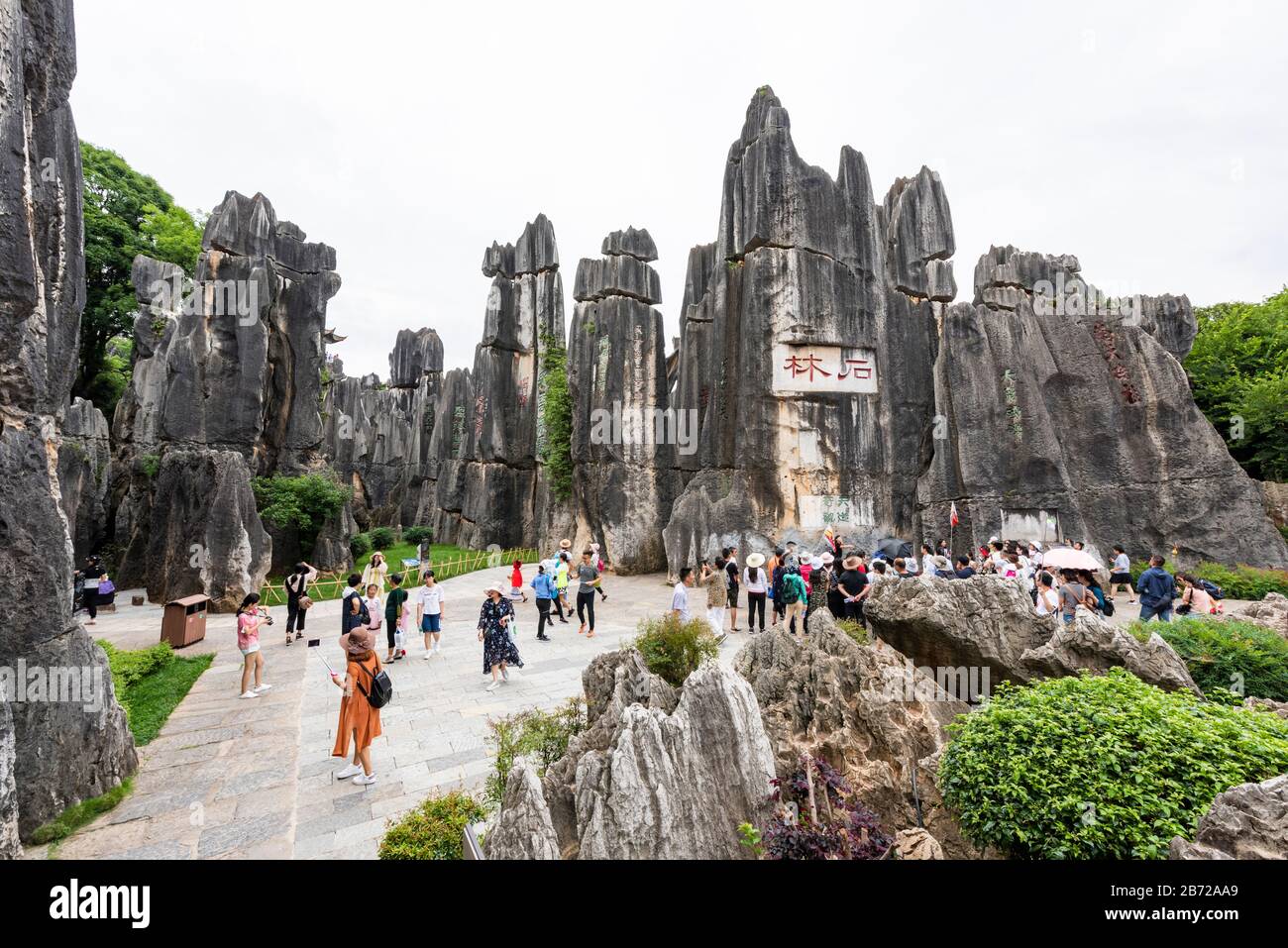 La forêt de pierres de Kunming, Yunnan est une merveille géologique calcaire couvrant plus de 80 hectares et a été désignée site du patrimoine mondial De L'Unesco. Banque D'Images