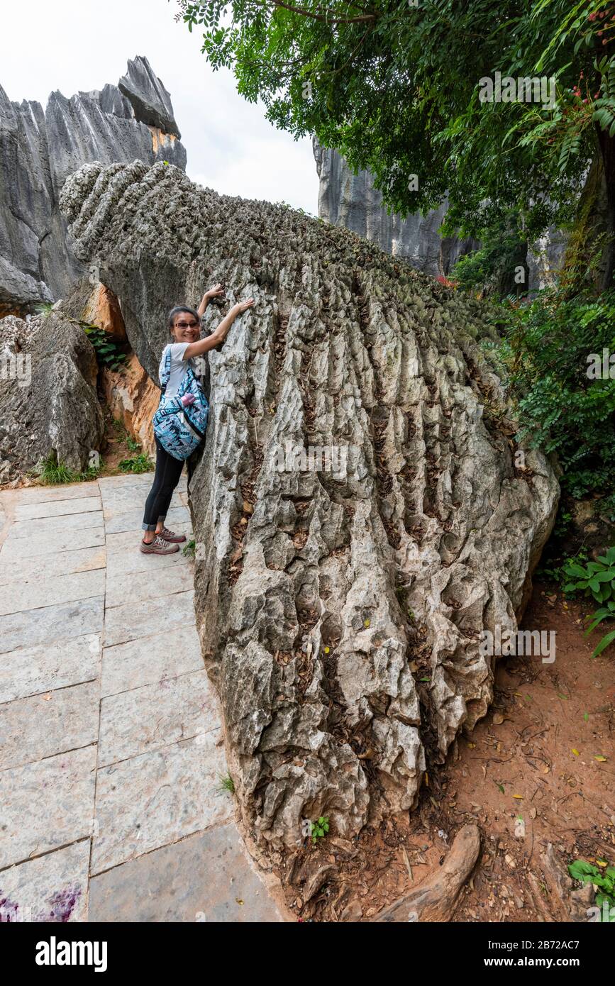La forêt de pierres de Kunming, Yunnan est une merveille géologique calcaire couvrant plus de 80 hectares et a été désignée site du patrimoine mondial De L'Unesco. Banque D'Images