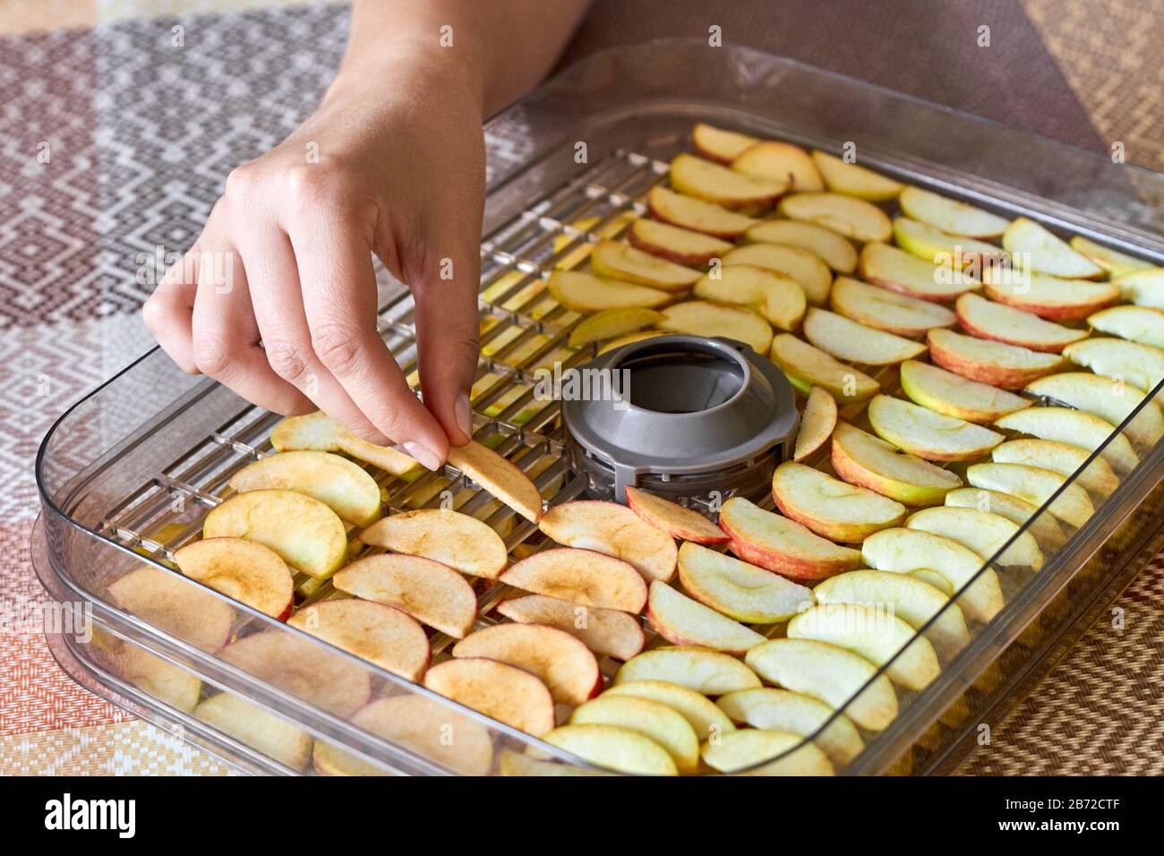 Fille pose des pommes tranchées dans le sèche-linge. Coupez les pommes sur la fermeture de la bouteille déshydratante, mise au point sélective Banque D'Images