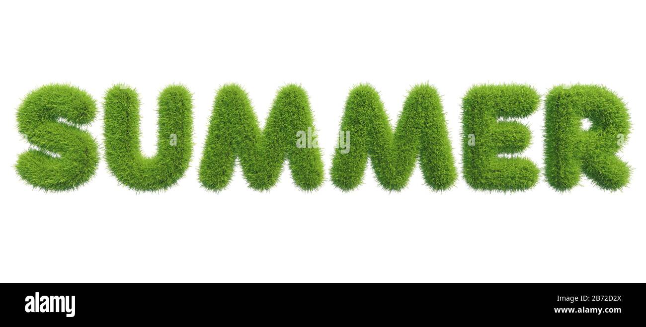 Lettrage d'été fait d'herbe verte fraîche isolée sur fond blanc. rendu tridimensionnel. Banque D'Images