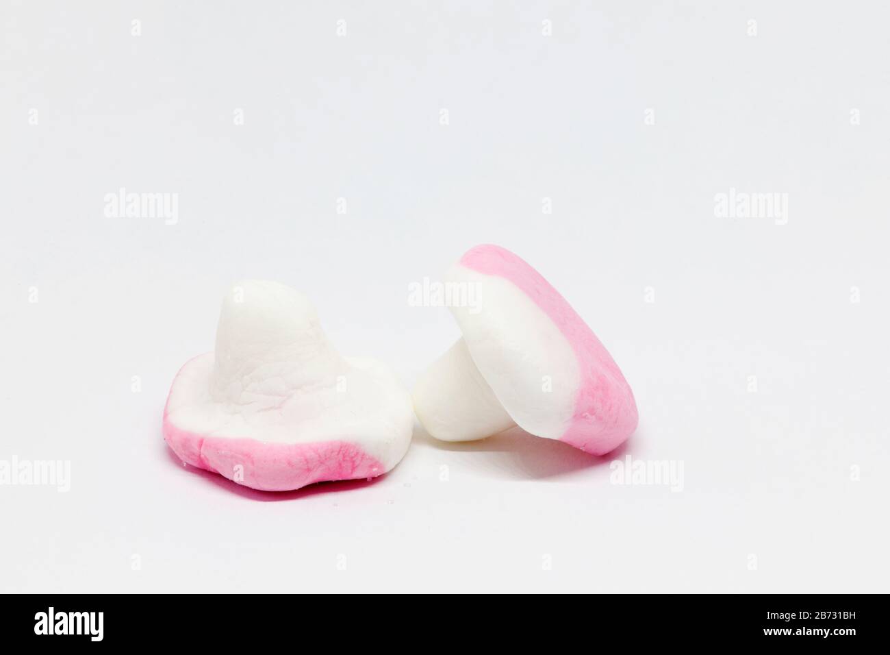 deux champignons en rose et blanc Banque D'Images