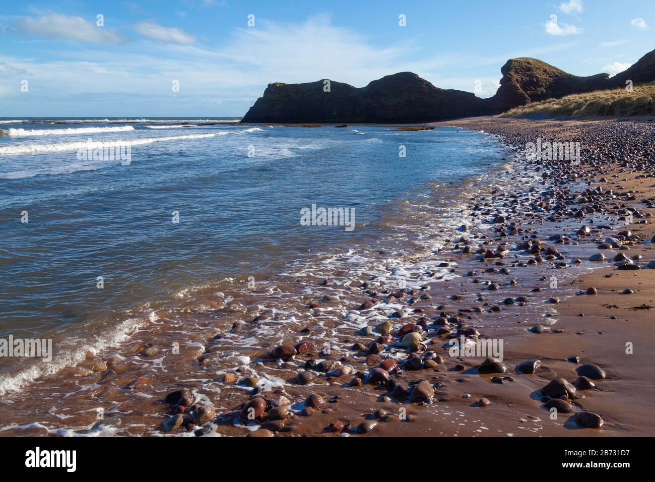 Le Sentier Côtier Angus D'Arbroath À Auchmithie, Angus, Écosse Banque D'Images
