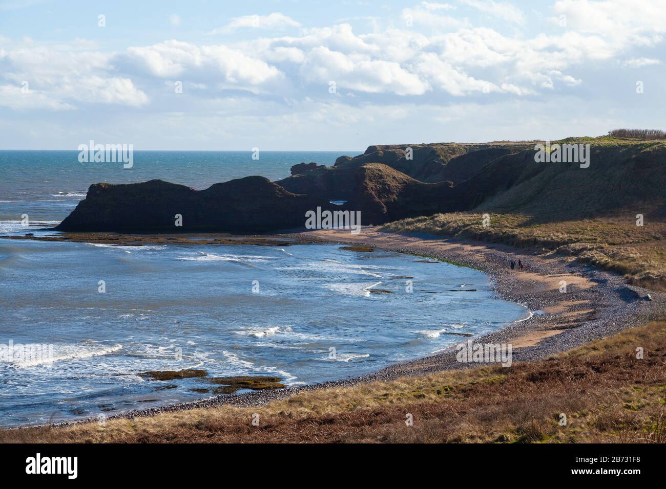 Le Sentier Côtier Angus D'Arbroath À Auchmithie, Angus, Écosse Banque D'Images