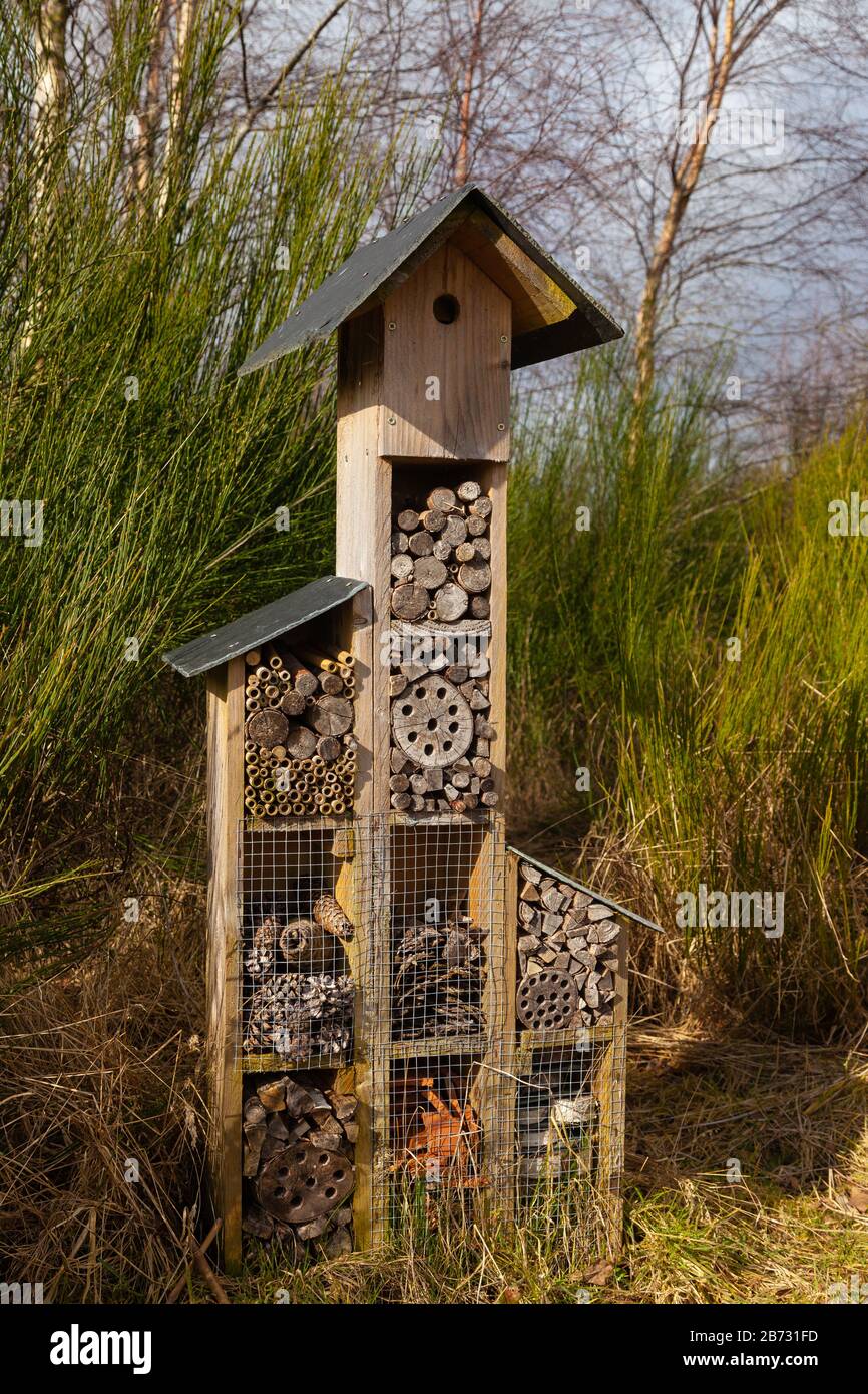 Fort d'insectes Bug house Banque D'Images