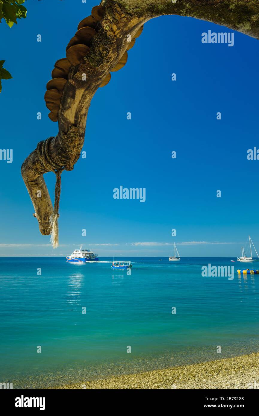 Membre de l'arbre pointant vers le bas sur les bateaux sur l'océan au large de la station de Topical sur la pittoresque île Fitzroy au large de la côte nord du Queensland en Australie Banque D'Images