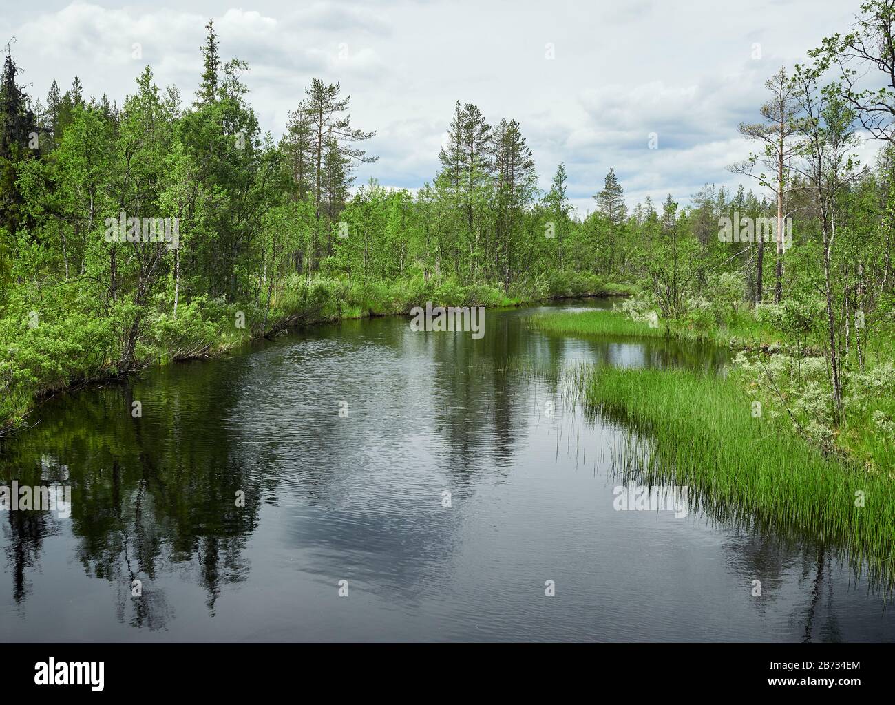 Paysage idyllique d'été avec eau claire d'une rivière à Yllas, Finlande. Banque D'Images