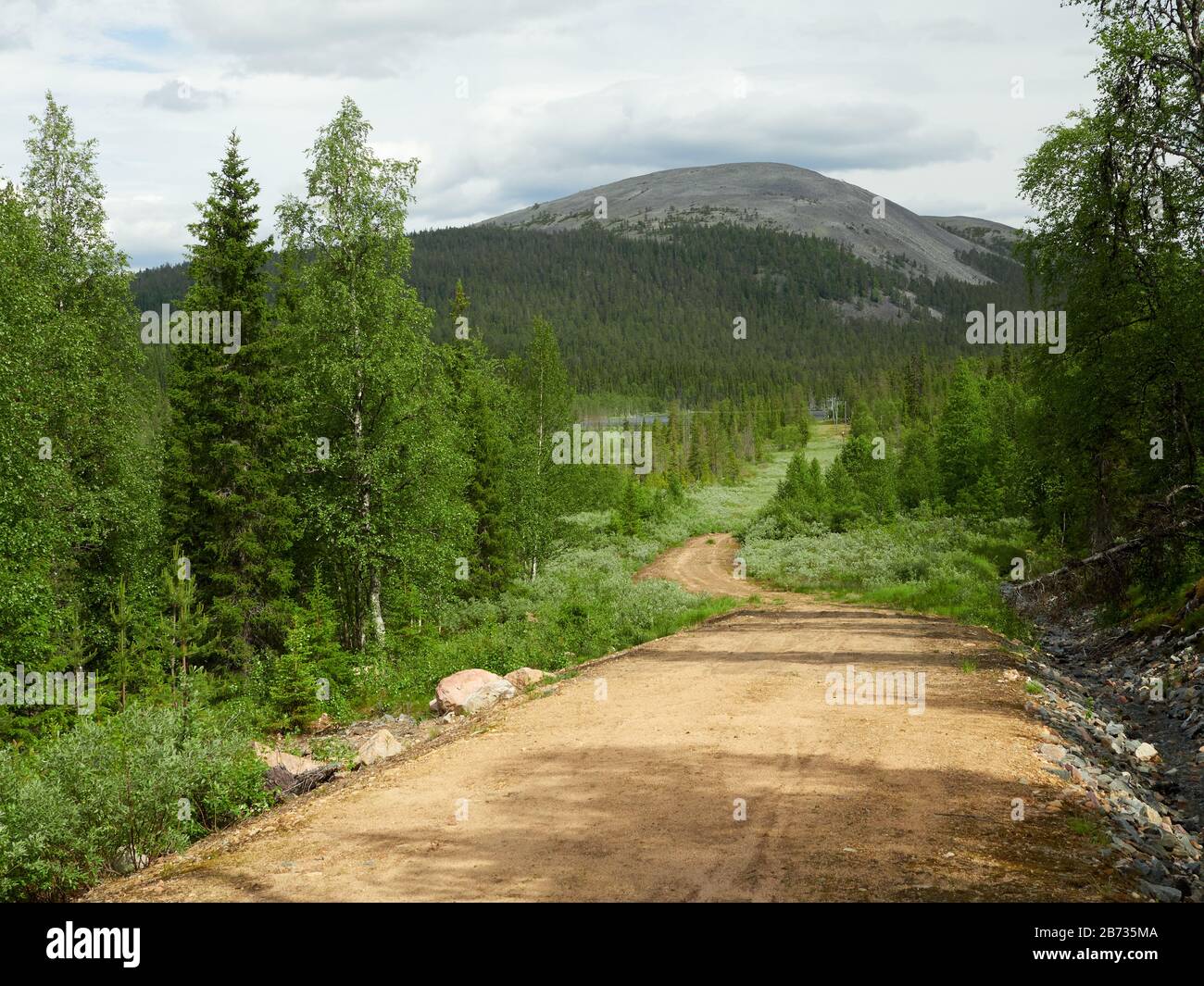Route panoramique en gravier à travers la belle vue de la forêt de Laponie finlandaise avec un sommet de la chute sur l'arrière-plan dans la zone de randonnée de Yllas en Finlande. Banque D'Images Route panoramique en gravier à travers la belle vue de la forêt de Laponie finlandaise avec un sommet de la chute sur l'arrière-plan dans la zone de randonnée de Yllas en Finlande. Banque D'Images