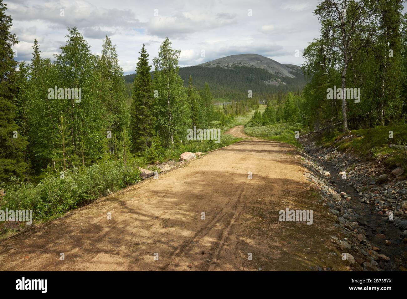 Route panoramique en gravier à travers la belle vue de la forêt de Laponie finlandaise avec un sommet de la chute sur l'arrière-plan dans la zone de randonnée de Yllas en Finlande. Banque D'Images Route panoramique en gravier à travers la belle vue de la forêt de Laponie finlandaise avec un sommet de la chute sur l'arrière-plan dans la zone de randonnée de Yllas en Finlande. Banque D'Images