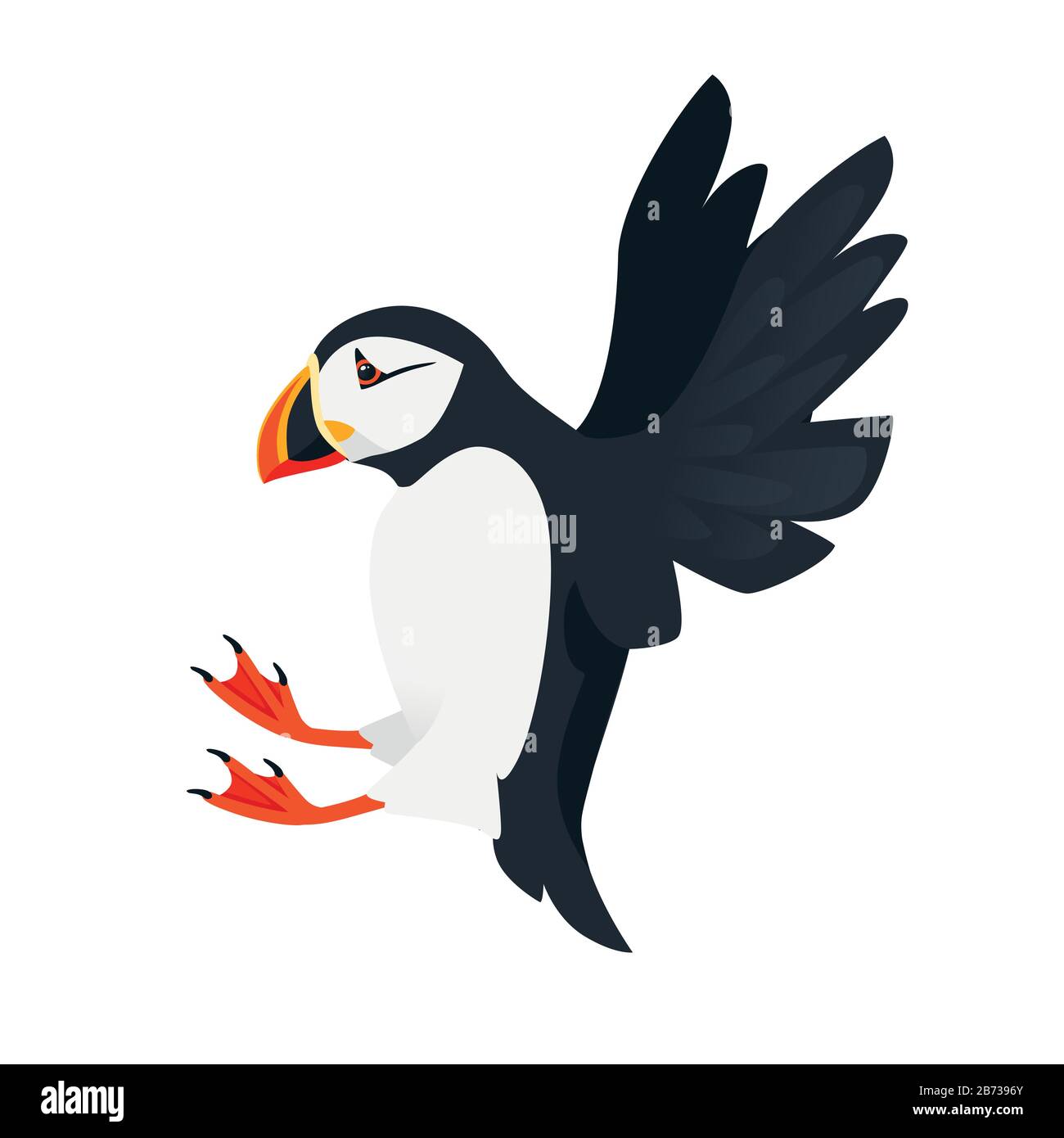 Motif animal de caricature des oiseaux de la carne de l'atlantique volante illustration vectorielle plate isolée sur fond blanc. Illustration de Vecteur