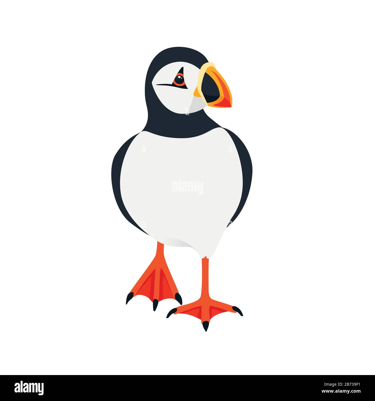 Oiseau de macareux de l'Atlantique marche dessin d'animal de caricature plate illustration vectorielle isolée sur fond blanc. Illustration de Vecteur