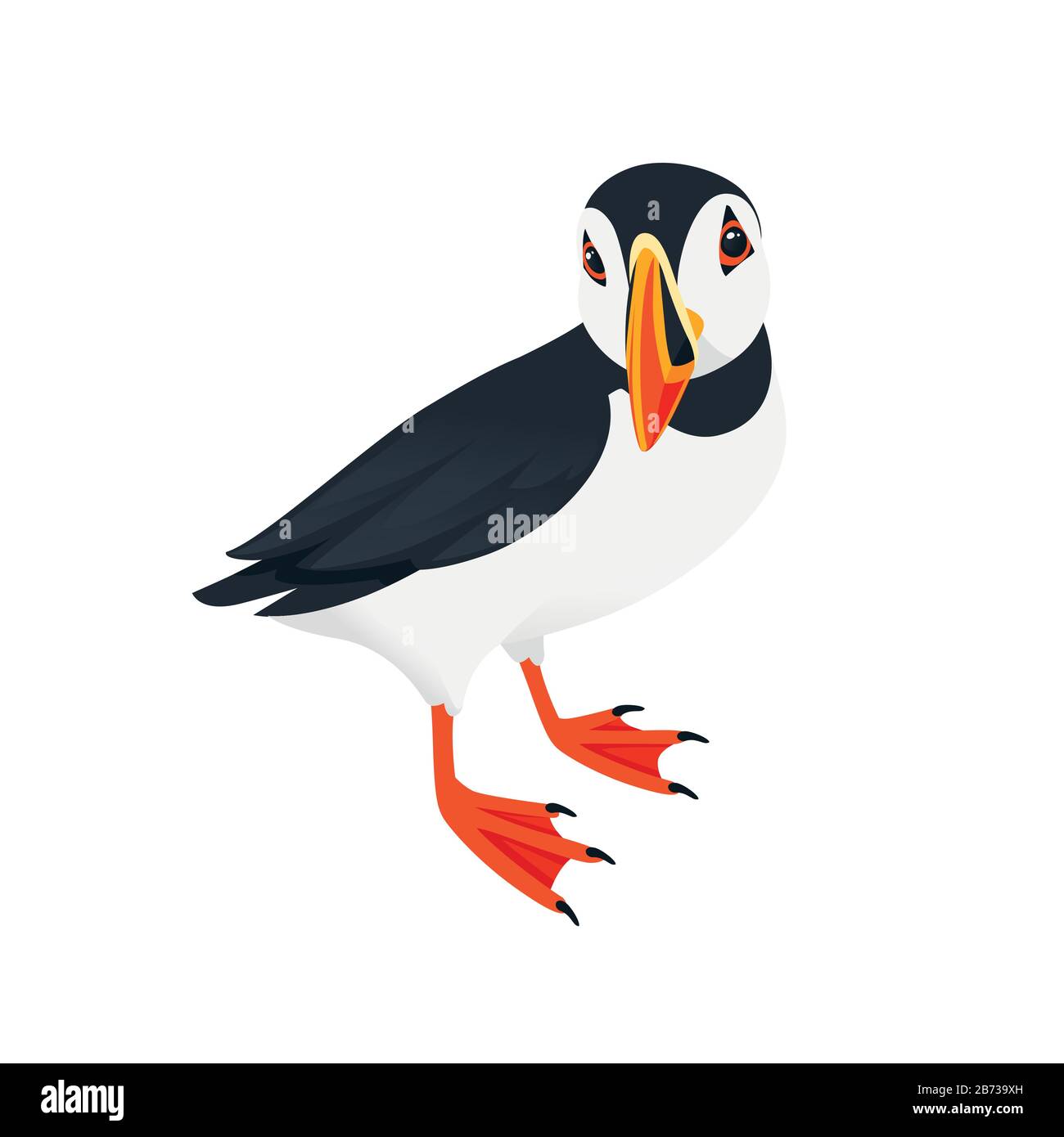 Motif animal de caricature des oiseaux de macareux de l'Atlantique illustration vectorielle plate isolée sur fond blanc. Illustration de Vecteur